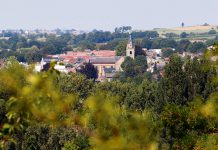 Met kunstexpo en beeldentuin: Kunstweekend Cartils 2025 in weekend van 6 en 7 september