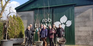 Gemeente Eijsden-Margraten zet in op het kleinschalige Limburgse landschap
