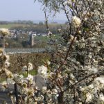 Op de september-woensdagavonden in kantine S.V. Zwart-Wit’19 in Eys: Zing met Hanzon Vocaal mee!