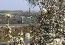 Op zaterdag 15 november: Onthulling infobord bij faunavoorziening Overeys