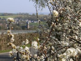 Op zaterdag 15 november: Onthulling infobord bij faunavoorziening Overeys