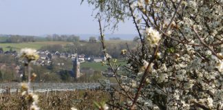 Op zondag 9 februari: Inzegening gerestaureerd St. Agatha-vaandel en huldiging platina en robijnen lid