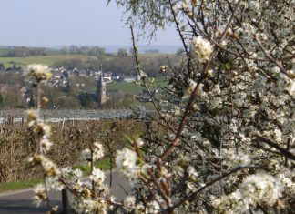 Op zondag 23 november 2025: Huldiging zilveren Octavia-jubilaris Tiny Lemmens-Allelijn tijdens Ceciliafeest in Eys