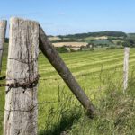 Forse investering in natuurherstelprojecten