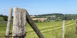 Forse investering in natuurherstelprojecten