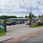 Gezellig groen en kleurrijk shoppen bij Karin en Pierre Broers: Plantencentrum Kapolder Wijlre al 30 jaar een klantentrekker!