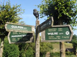 Meedenken met de renovatie van de Gerendalseweg in Scheulder