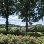 Mheer trapt af met verkeerscampagne ‘Goed Gezien’