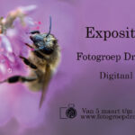 Digitale expositie fotogroep ‘Dracula’ Margraten