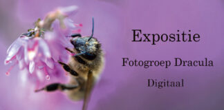 Digitale expositie fotogroep ‘Dracula’ Margraten