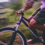 Handhavingsactie in natuurgebied Ingendael