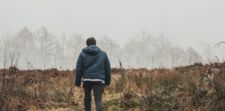 Ga de komende dagen niet wandelen of recreëren in bosgebieden