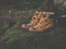 Op woensdag 19 november: Laatste Midweektocht 2025 vanuit Gulpen