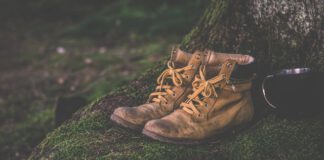 Op zondag 25 februari 2024: 47e Heuvelland Wandeltocht in Mheer