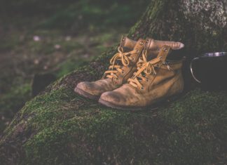 Op woensdag 19 november: Laatste Midweektocht 2025 vanuit Gulpen