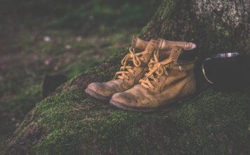 Op woensdag 19 november: Laatste Midweektocht 2025 vanuit Gulpen