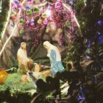 Ze zijn er weer: kribkes-wandelingen