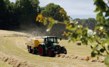 Stimuleringsregeling voor agrariërs