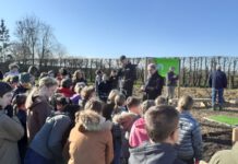 Leerlingen OBS Mesch planten eigen bos