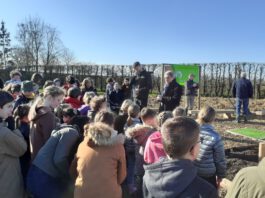 Leerlingen OBS Mesch planten eigen bos