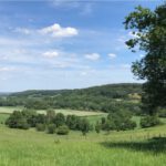 Hoe lang nog, Staatsbosbeheer?