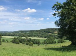 Hoe lang nog, Staatsbosbeheer?