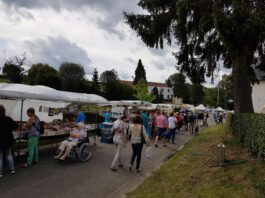 32e zomermarkt in Walem