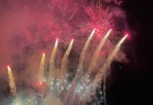 Op zondag 28 december: Wandelvereniging Vilt organiseert Eindejaarstocht mét wafels!