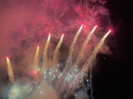 Op zondag 28 december: Wandelvereniging Vilt organiseert Eindejaarstocht mét wafels!