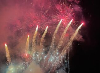 Op zondag 28 december: Wandelvereniging Vilt organiseert Eindejaarstocht mét wafels!