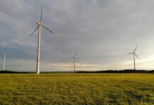 Brusselse steun voor klimaatneutraliteit in Nederland