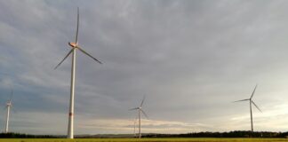 Brusselse steun voor klimaatneutraliteit in Nederland