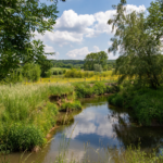 Op zoek naar Mevr. Truus Bodelier-Vluggen
