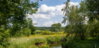 Op zoek naar Mevr. Truus Bodelier-Vluggen