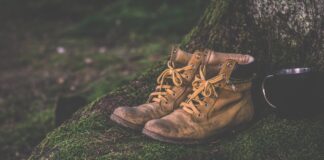 Op woensdag 18 oktober: Midweekwandeltocht vanuit Gulpen