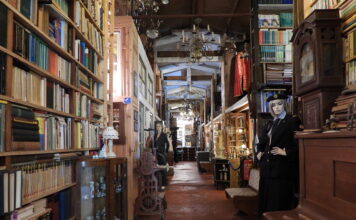 Op zondag 15 sept. 2024: KUNSTplein CC6 in Heerleninternationale pool met veelsoortig aanbod