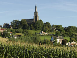 Excursie op donderdag 12 maart: Op ontdekkingstocht met de boswachter in het boeiende Vijlenerbos