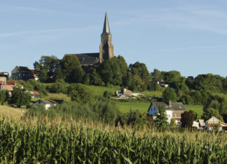 Excursie op donderdag 12 maart: Op ontdekkingstocht met de boswachter in het boeiende Vijlenerbos