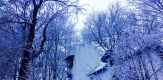 Na Valkenier opnieuw klap voor Valkenburg: Faillissement Sprookjesbos