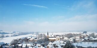 Nieuws JCV De Breuzelèèrkes Mechelen