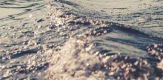 Noodsituatie in Maastricht: Dijk gedeeltelijk weggespoeld, woonboten geëvacueerd