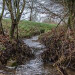 Afronding en opening Epen Bronnenland 2.0