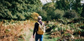 Op zondag 29 juni: 29ste Grenslandtocht met maar liefst 6 afstanden