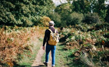 Op zondag 29 juni: 29ste Grenslandtocht met maar liefst 6 afstanden