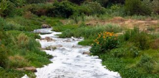 Bouw van 4 waterputten met pomp op zonne-energie: Cluster Morgenster Vastenactie 2024 gericht op zuiden van Zimbabwe