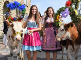 Ranzelfestival stopt na meer dan 25 jaar…