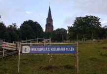 Twee KBO-activiteiten