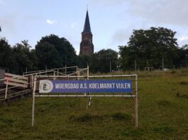 Twee KBO-activiteiten