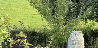 Collecteweek ReumaNederland