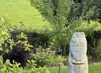 Op zaterdag 6 en/of zondag 7 juni 2026: Volop inspiratie op één of twee Open Dagen van 13 nuts- en (eco)siertuinen in Zuid-Limburg